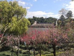 -乌山风景区