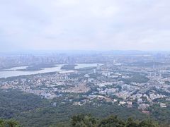 -紫金山山顶公园
