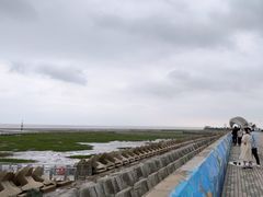 -南汇嘴观海公园