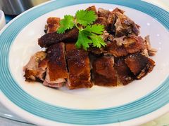 椿记烧鹅-椿记烧鹅(叠彩店)