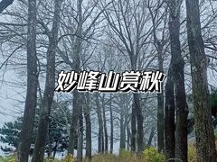 -妙峰山风景名胜区