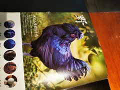 -黑鸡小馆(金源店)