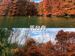 -上海海湾国家森林公园