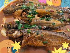 昂刺鱼-溱湖八鲜菜馆