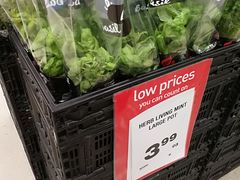 -Countdown Auckland Metro(维多利亚街店)