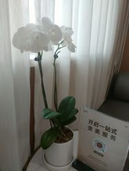 -Yestar艺星整形美容医院
