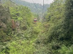 -青城山