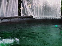 -杭州第一世界大酒店·云曼温泉