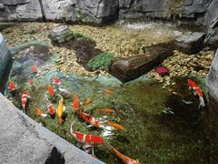 -嘉兴海底世界