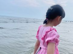 -东海岛旅游度假区