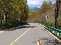 -玉渡山自然风景区