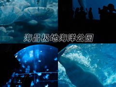 -海合安成都极地海洋公园