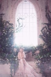 -苏菲亚婚纱影楼尊爵店(昆区店)