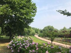 -采石矶景区