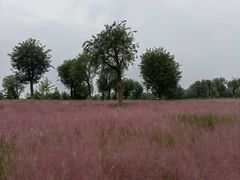 -汉长安城未央宫国家考古遗址公园