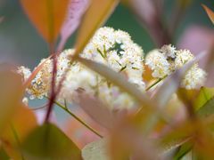 -白塘生态植物园