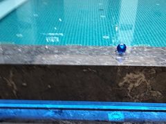 -星河湾温泉洗浴酒店