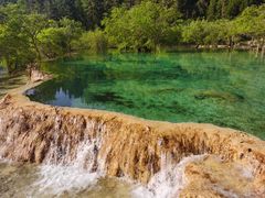 -黄龙山原始森林景区