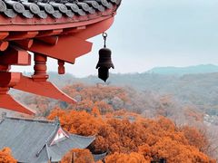 -城隍阁