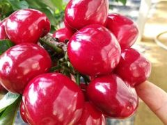 樱桃-e佳鲜果(四方坪店)