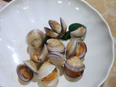 -海大大蒸汽海鲜餐厅·粤菜·特色小炒(欢乐颂店)