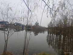 -白鹭湾湿地公园