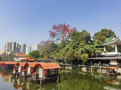 -侨美·唐荔园·40年地道粤菜