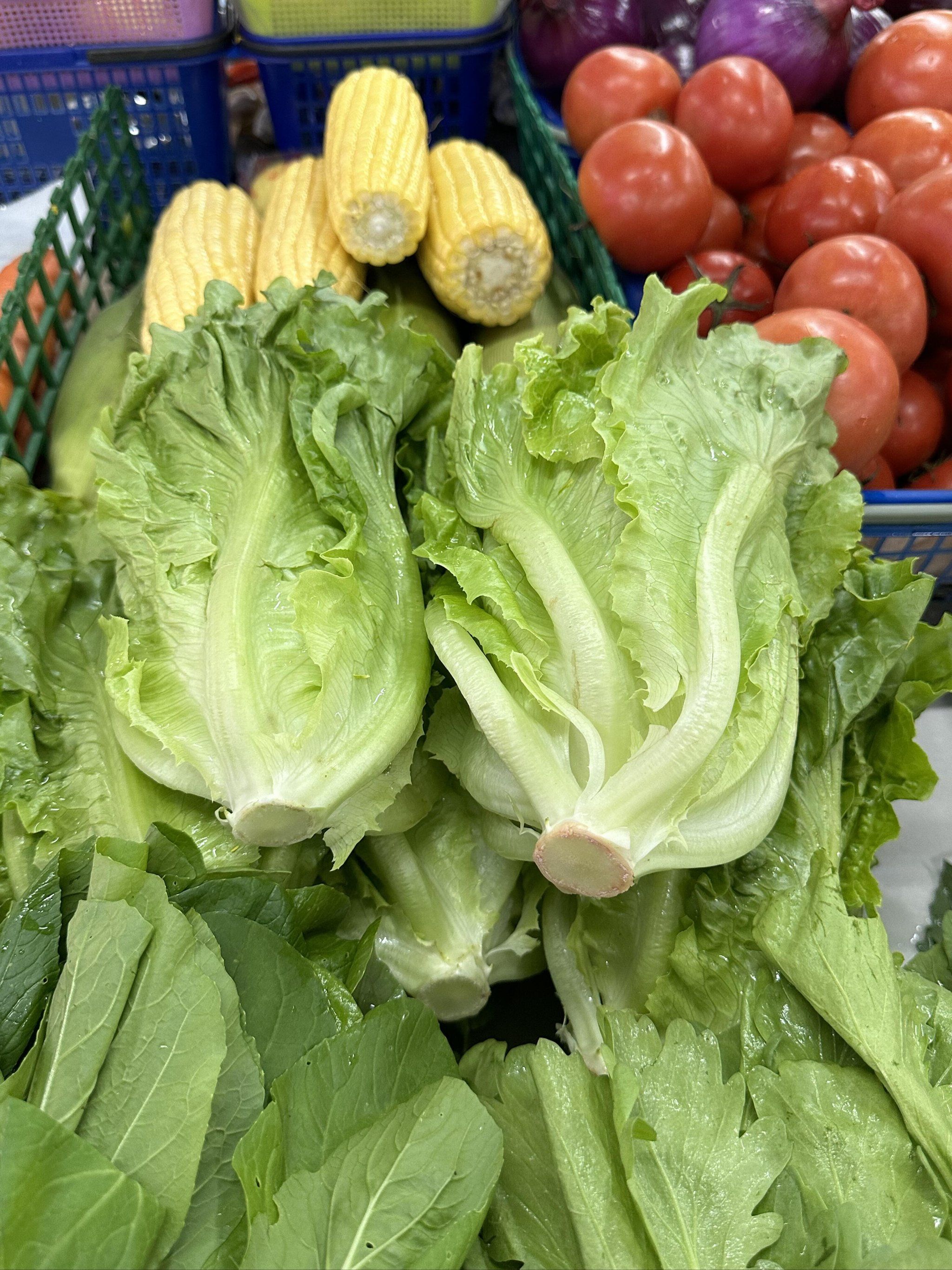 我请问呢💢这两种生菜有区别吗!