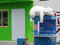 -溪岸路花鸟市场