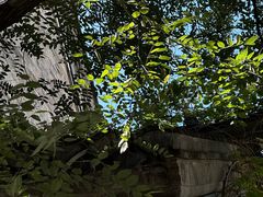 -回龙窝历史文化街区