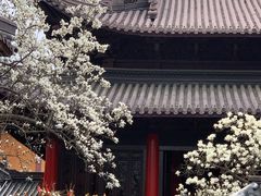 -灵谷景区