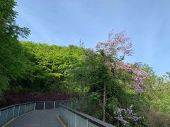 -青山湖景区