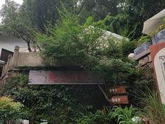 -龙井壹号·茶缘山景宴(龙井村店)