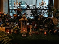 -LYFATTI 莱芙缇(赣水路店)