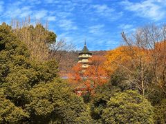 -灵谷景区