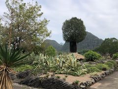 -Club Med地中海俱乐部·桂林度假村