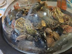 -大锅强·蒸海鲜青岛菜(吾悦广场店)