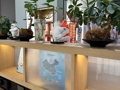 -长风拨筋养身(金虹桥店)