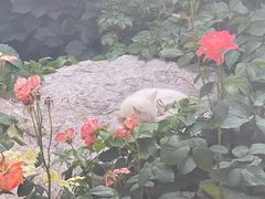 -李叔同故居纪念馆