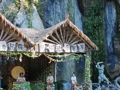 -西双版纳原始森林公园