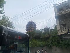 -黄鹤楼公园(黄鹤楼)