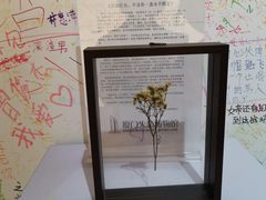 -厦门失恋博物馆(中华城店)