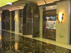 -童趣廊·儿童波波池·海洋球(长隆横琴湾酒店)