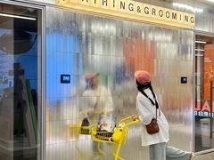 -帕帕拉兹宠物(亚洲旗舰店)