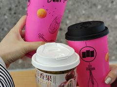 -雾与山茶(大禹城店)
