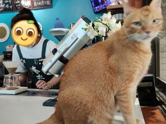 -默迹咖啡馆