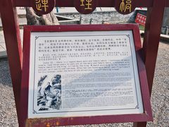 -冶父山国家森林公园