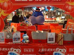 -盒马鲜生(解百新元华店)