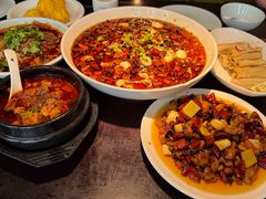 -陈麻婆豆腐总店
