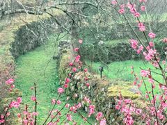 -唐崖土司城遗址